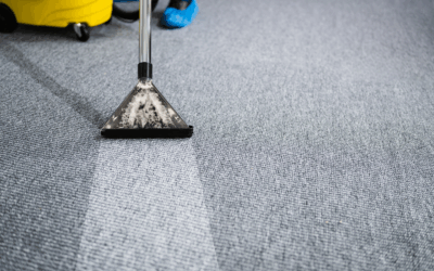 Why Regular Commercial Carpet Cleaning Is Essential for Your Business