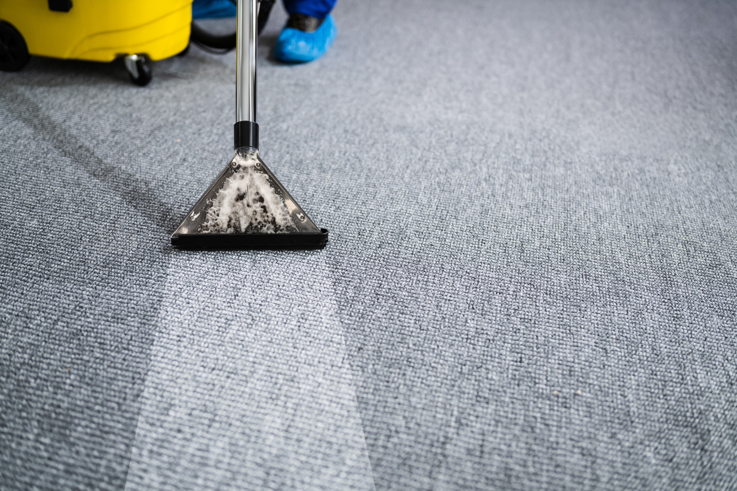Why Regular Commercial Carpet Cleaning Is Essential for Your Business