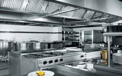 Why Commercial Pest Control Services Are Essential for Restaurants and Food Facilities